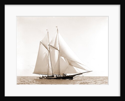 Foam (Schooner), 1880 by Anonymous