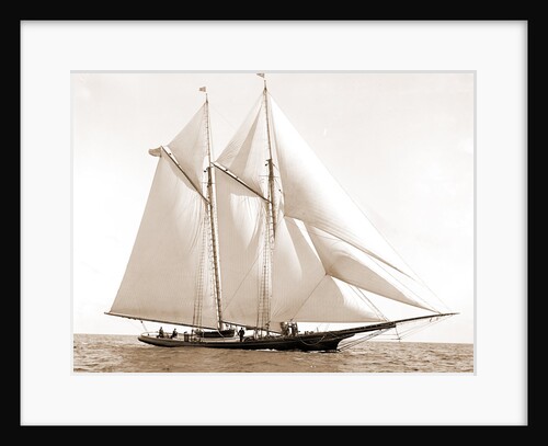 Foam (Schooner), 1880 by Anonymous