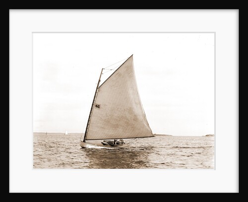Typhoon (Yacht) by Anonymous