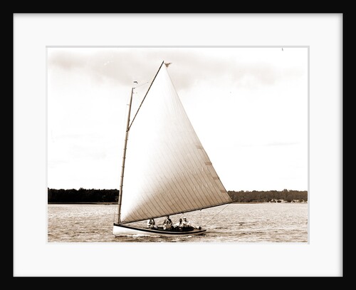 Primrose (Yacht) by Anonymous
