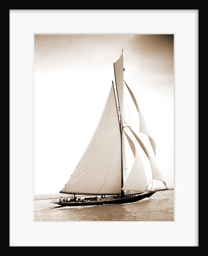 British cutter Calluna by Henry Greenwood Peabody