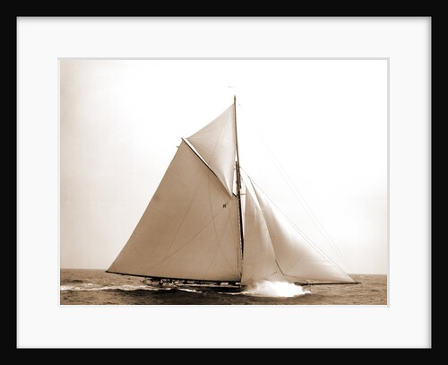 Colonia (Yacht) by Anonymous