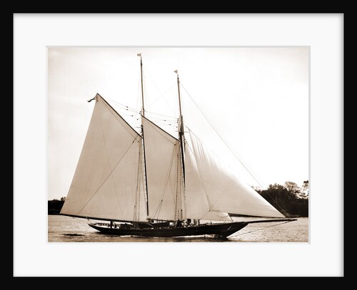 Ariel (Schooner), 1893 by Anonymous