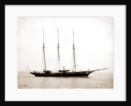 Intrepid (Steam yacht), 1892 by Anonymous
