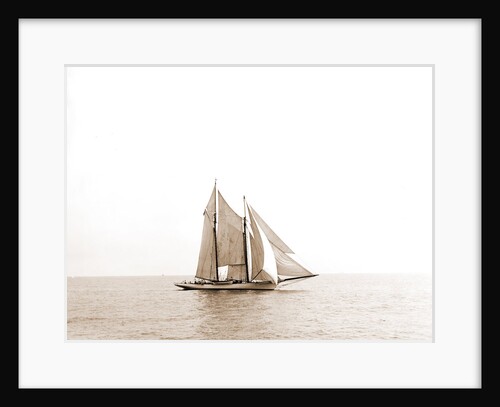 America (Schooner), 1899 by Anonymous