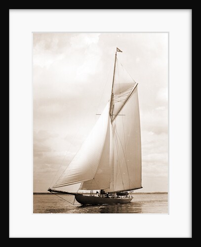 Shamrock I (Yacht) by Anonymous