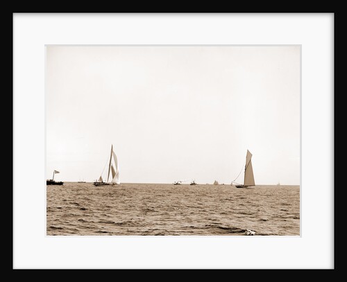 Columbia setting spinnaker and Shamrock, after start by Anonymous