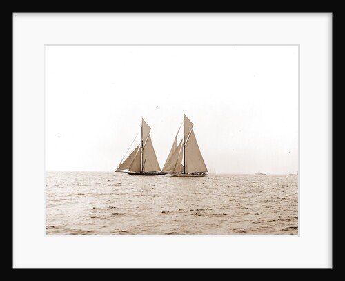Shamrock I and Columbia coming for the line, Columbia (Sloop), Shamrock I (Yacht) by Anonymous