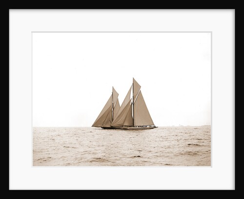 Shamrock I and Columbia, the start, Columbia (Sloop), Shamrock I (Yacht) by Anonymous