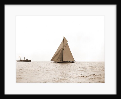 Columbia and Shamrock I on the line, Columbia (Sloop), Shamrock I (Yacht) by Anonymous