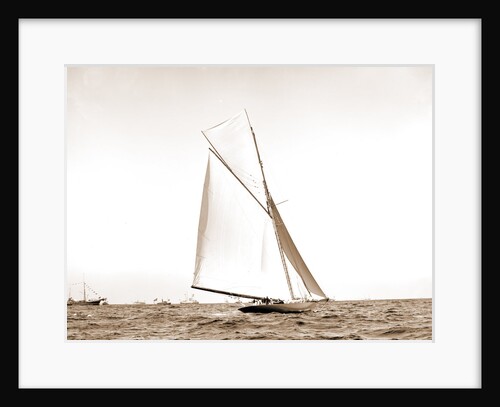 Shamrock I before the start, Shamrock I (Yacht) by Anonymous