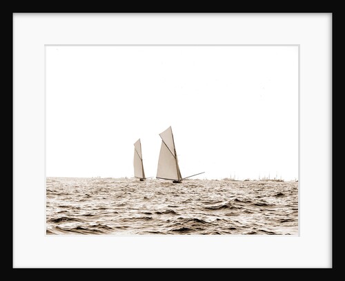 Columbia and Shamrock I, a luffing match, Columbia (Sloop), Shamrock I (Yacht) by Anonymous