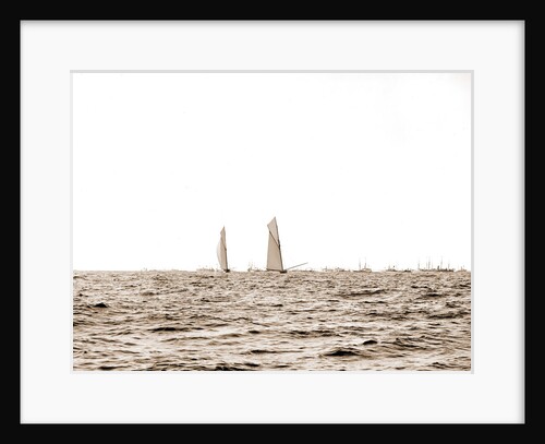 Columbia and Shamrock I, luffing into the excursion fleet, Columbia (Sloop), Shamrock I (Yacht) by Anonymous