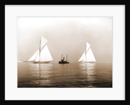 Shamrock I and Columbia, becalmed in fog, Shamrock I (Yacht) by Anonymous