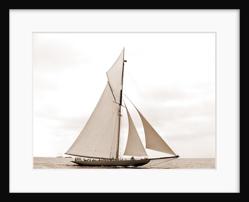 Shamrock I before the start, Shamrock I (Yacht) by Anonymous