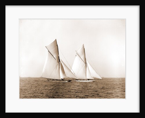 Shamrock and Columbia maneuvering for the start, Columbia (Sloop), Shamrock I (Yacht) by Anonymous
