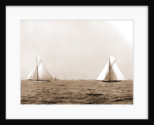 Columbia and Shamrock I, the start, Columbia (Sloop), Shamrock I (Yacht) by Anonymous