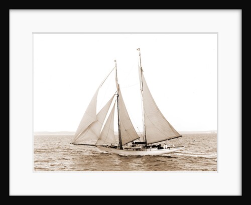 Adrienne (Schooner), 1900 by Anonymous