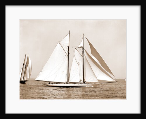 Corona, flagship of Commodore Ledyard, Corona (Schooner), 1900 by Anonymous