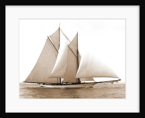 Merlin (Schooner), 1892 by Anonymous