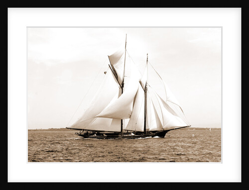 Ramona (Schooner), 1888 by Anonymous