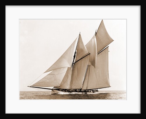 Mayflower (Schooner), 1891 by Anonymous