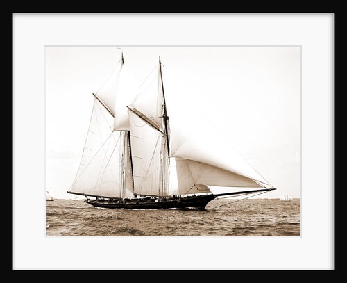 Constellation (Schooner), 1891 by Anonymous