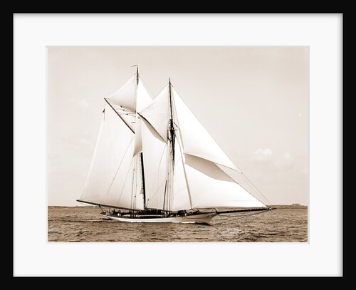 Quickstep (Schooner), 1891 by Anonymous