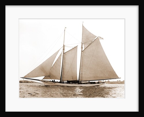 America (Schooner), 1891 by Anonymous