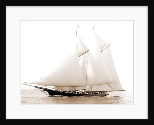 Dauntless (Schooner), 1892 by Anonymous