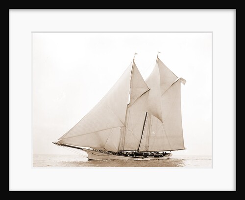 Gitana (Schooner), 1892 by Anonymous