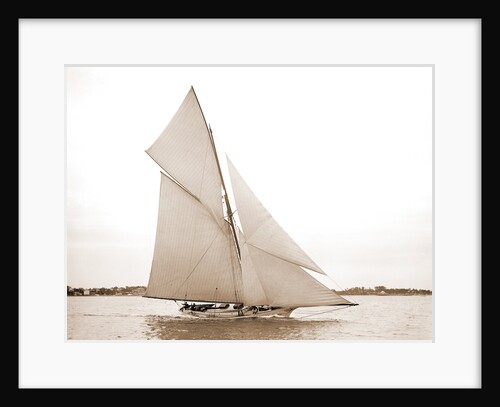 Verena (Yacht) by Anonymous