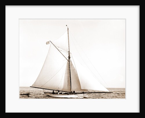 Babboon (Yacht) by Anonymous