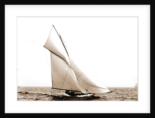 Shark (Yacht) by Anonymous