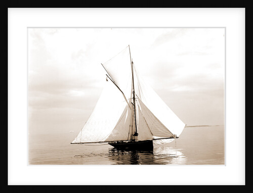 Beetle (Yacht) by Anonymous