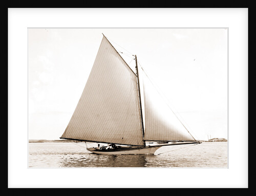 Hornet (Yacht) by Anonymous