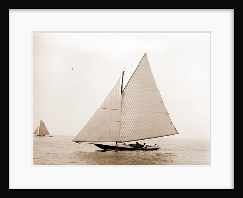 Vanessa Eastern Yacht Club regatta, Vanessa (Yacht) by Anonymous