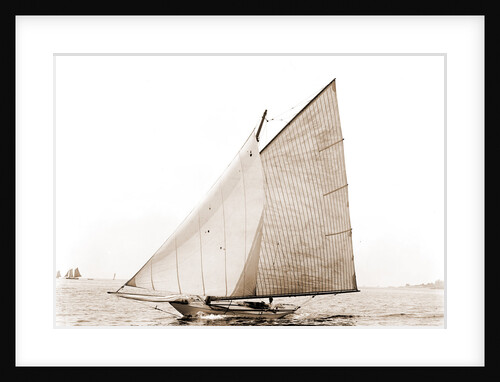 Tadpole (Yacht) by Anonymous