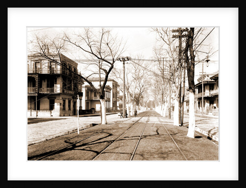 Esplanade Street, New Orleans by Anonymous