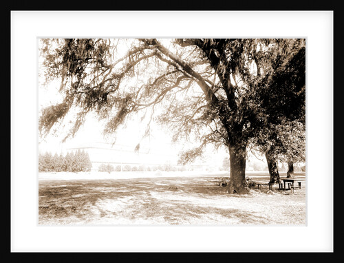 Horticultural hall, Audubon Park by Anonymous