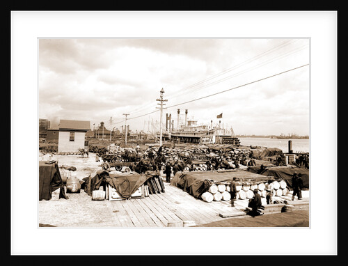 Levee by Anonymous