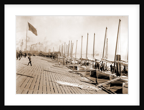 Oyster luggers at the levee, New Orleans by Anonymous