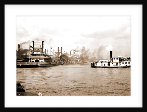 Steamboats along the levee, New Orleans by Anonymous