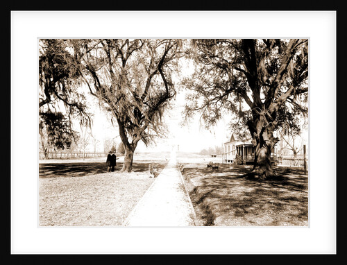 Battle monument, Chalmette by Anonymous