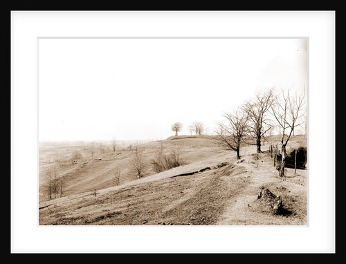 General view of battlefield, Vicksburg by Anonymous