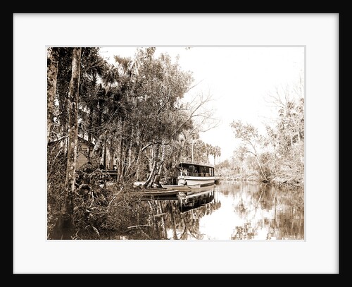 Tomoka landing, Fla by Anonymous