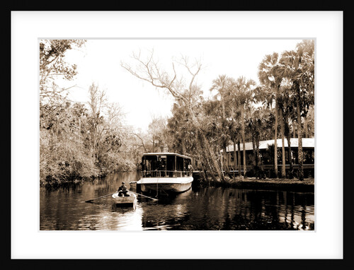 Tomoka landing, Fla by Anonymous
