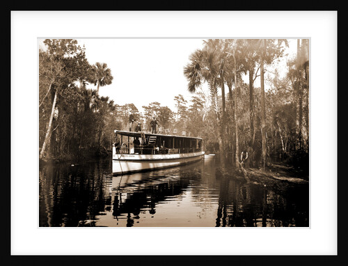 Princess Issena near Tomoka landing, Ormond by Anonymous