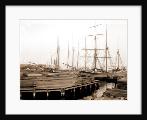 Lumber wharfs, St. John's River by Anonymous