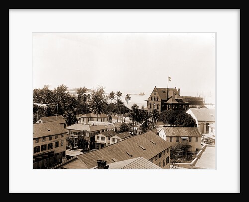 View from hotel, Key West by Anonymous